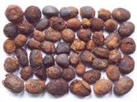 Cow Ox Gallstone