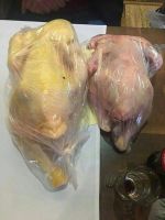 Chicken from farm Halal Bio Organic