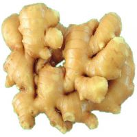 Dried Ginger, Fresh Ginger