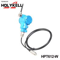 HOLYKELL HPT612 zigbee wireless pressure sensor, water tank level sensor wireless