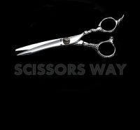 Dragon Handle Barber Scissor Japanese Hair Scissor