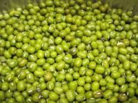 GREEN MUNG BEANS