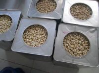 Best Quality Cashew Nuts for Sell