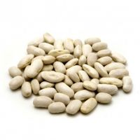 ORGANIC OR CONVENTIONAL WHITE BEANS