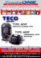 Teco Motors