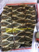 Best quality and price yellow strip fish- yellow stripe scad fish (Jenny +84 905 926 612)