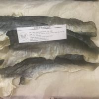 Best price of Pangasius skin- catfish skin- Basa fish skin (Jenny +84 905 926 612)