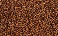 Arabica Coffee Beans Perfect for Espresso - 500g per bag