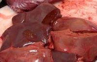 halal frozen beef liver | frozen halal beef meat