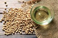 best quality Organic Non-GMO Soybean for cheap price