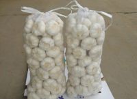 Fresh White Garlic/ Bulk Export For Grade A Garlics