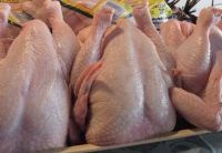 Halal Whole Frozen Chicken,Chicken Feet,Paws ,Drumsticks Grade