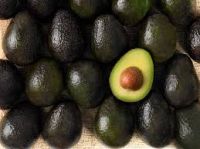 Hass Avocado from Kenya