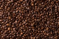 Arabica Green coffee beans