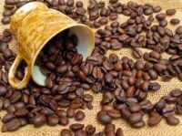  Arabica Green Coffee Beans / roasted coffee bean robusta