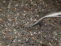 Top Quality Grade Oil Chia Seeds, White Chia Seeds, Black Chia Seeds