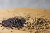 Black and Yellow Mustard Seeds Available