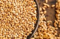 wholesales Linseed Flax Seeds Golden / brown color flaxseed for oil