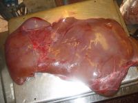 Halal Frozen Frozen Beef Liver