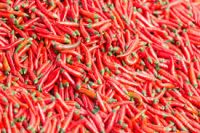 Natural Fresh Red Chili/Pepper