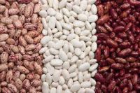 LSKB /Light Speckled Kidney Beans /Pinto Beans/Sugar Beans