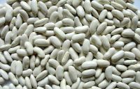 White Kidney Beans Long and Round shape