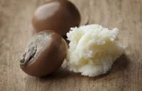 ISO Certified Factory Supply Unrefined Shea Butter