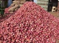 wholesale Fresh Onion/Yellow Onion/red onion exporters 