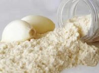 Premium Quality  Dehydrated Garlic Manufacturer & Exporters