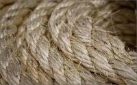 Sisal Rope Twisted Oiled/ Unoiled