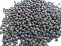  Supplier black kidney beans