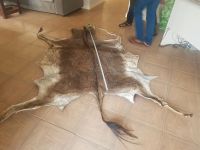Dry /Wet Salted Donkey Hides -good prices