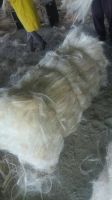 SISAL FIBRE FROM KENYA. BEST PRICE