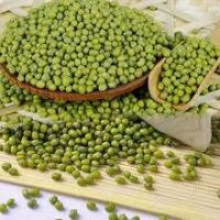 Hot sale 3.2mm HPS green mung bean price with good manufacture