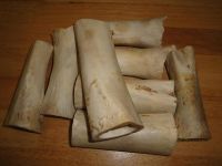 cow bones