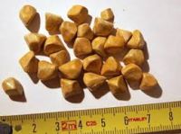 High Grade Ox Gallstones 80/20 Cow,ox,cattle Gallstones for sale