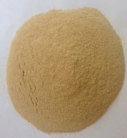 Dried Brewer Yeast