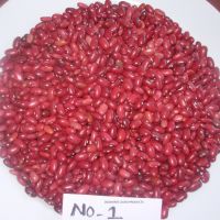 Red Kidney Beans