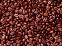 Arabica Roasted Green Coffee Beans with Best Price