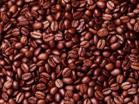 High Quality Arabica Coffee Beans