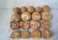 Betel Nuts Whole and Split Slice Betel Nut Dried Betel Nut FRESH/FROZEN/DRIED