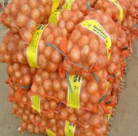 Best Quality Fresh Peeled White, Red, Purple Onion for Sale