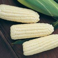 DRIED WHITE CORN