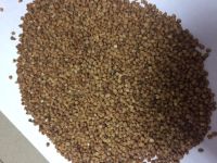 ROASTED BUCKWHEAT & ROASTED BUCKWHEAT KERNEL AT VERY GOOD PRICE