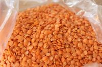 Red Whole Lentils Suppliers, Split Red Lentils, Masoor Dal, Direct from FACTORY Prices