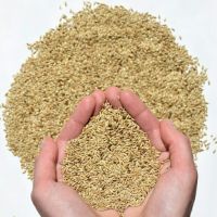 Top Quality Canary Seeds