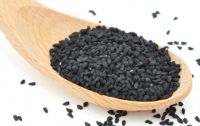 NIGELLA SATIVA SEEDS SUPPLIERS, BLACK CUMIN SEEDS, TURKISH CUMIN SEEDS