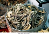 Dried Seahorse/Dry Sea Cucumber/Dry Abalone