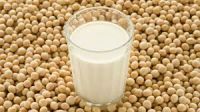 soybean milk powder