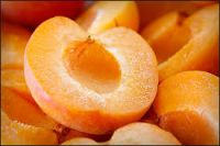 Best prices newest 2017 organic frozen apricots